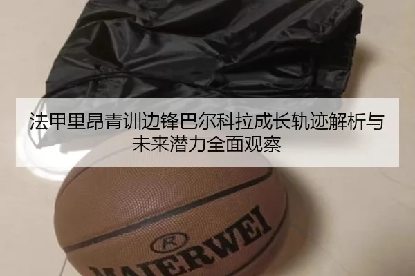 法甲里昂青训边锋巴尔科拉成长轨迹解析与未来潜力全面观察